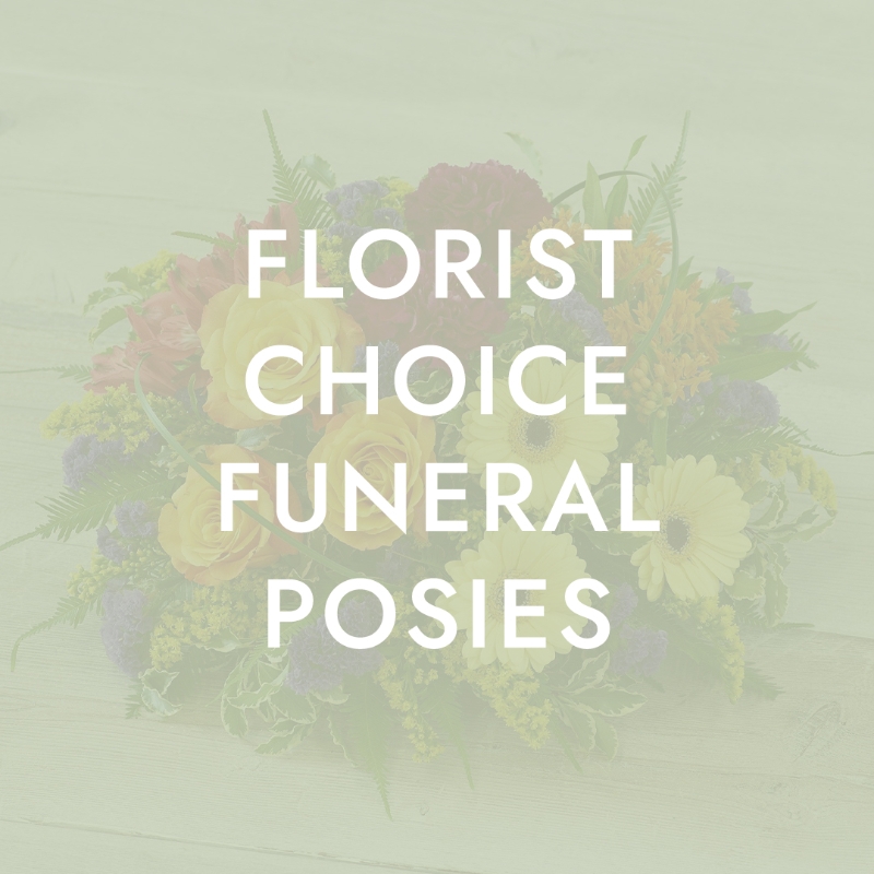 Florist Choice Posy